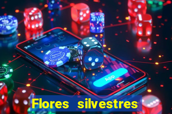 Flores silvestres brasileiras 25